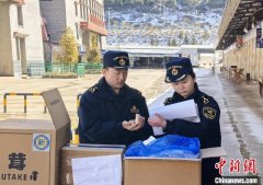 云南迪庆食用菌加快出海 2025年前两月出口额达